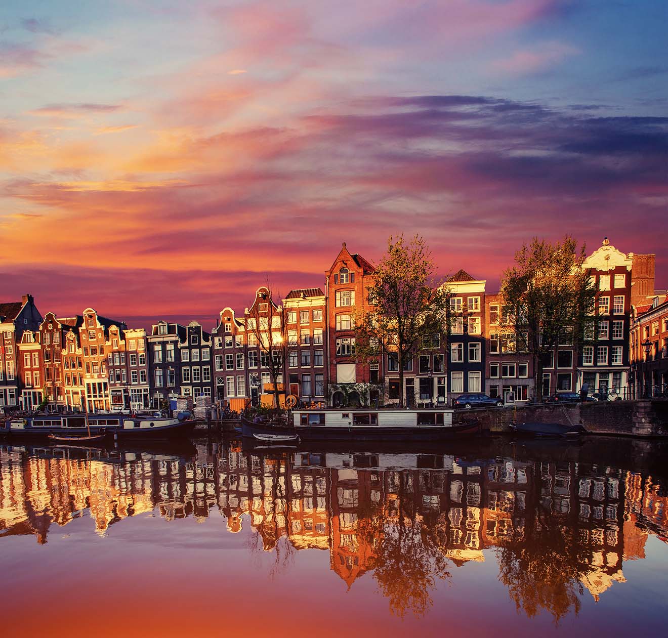 Study in netherlands